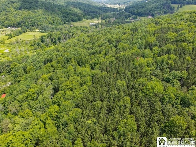 738 Four Mile Rd, Allegany, NY 14706 - photo 12