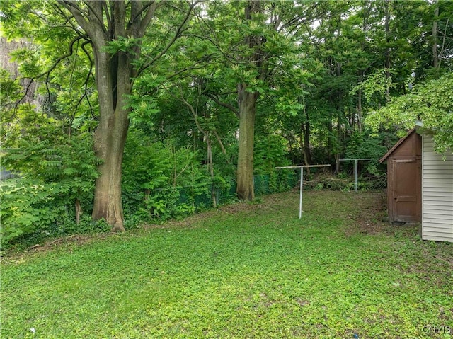 209 Lakeview Ave, Syracuse, NY 13204 - view of grassy yard with a storage shed