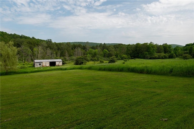 227 Donlon Rd, Otsego, NY 13337 - view of grassy yard with a forest view, an outbuilding, and a view of countryside