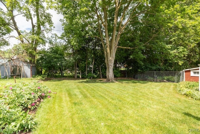 217 Mackay Ave, Camillus, NY 13219 - view of yard featuring a storage shed
