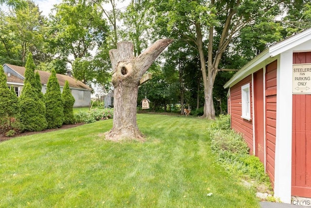 217 Mackay Ave, Camillus, NY 13219 - view of green lawn