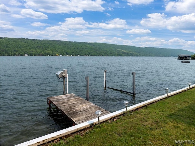 15794 W Lake Rd, Pulteney, NY 14874 - dock featuring a water view and a wooded view