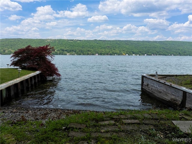 15794 W Lake Rd, Pulteney, NY 14874 - dock featuring a view of trees and a water view