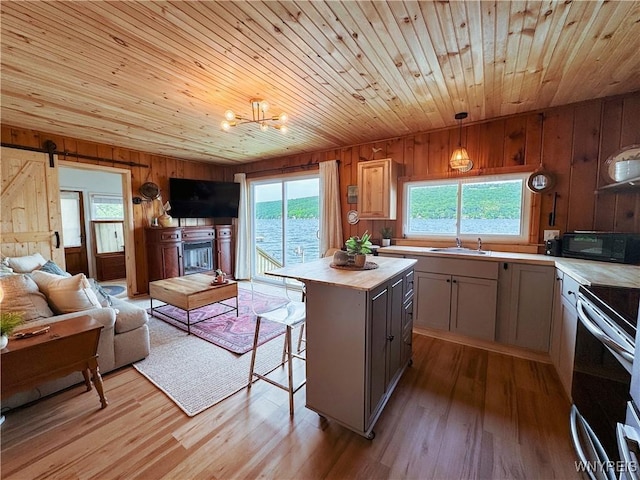 15794 W Lake Rd, Pulteney, NY 14874 - kitchen featuring black microwave, stainless steel range with electric stovetop, wood walls, open floor plan, and wood ceiling