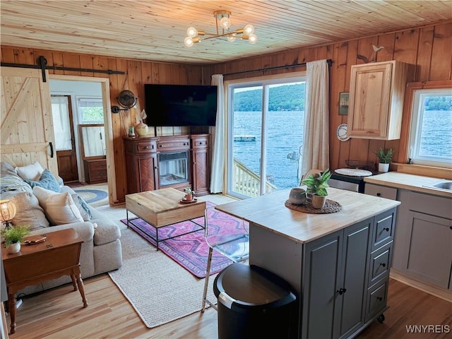 15794 W Lake Rd, Pulteney, NY 14874 - living area featuring wooden walls, wood ceiling, light wood-style flooring, a chandelier, and a barn door