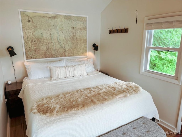15794 W Lake Rd, Pulteney, NY 14874 - bedroom featuring wood finished floors and baseboards