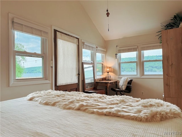 15794 W Lake Rd, Pulteney, NY 14874 - bedroom with high vaulted ceiling