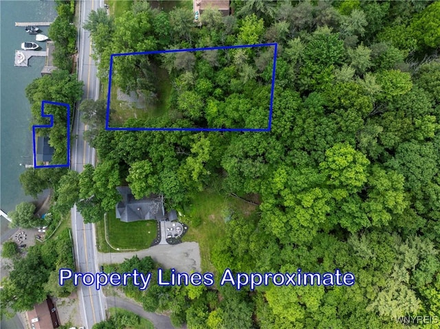 15794 W Lake Rd, Pulteney, NY 14874 - aerial overview of property's location with property parcel outlined