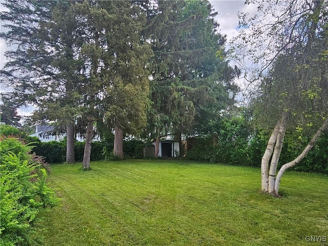 203 Windemere Rd, Geddes, NY 13219 - view of grassy yard with a shed