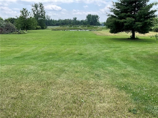 13810 Waterport Carlton Rd, Carlton, NY 14411 - view of grassy yard