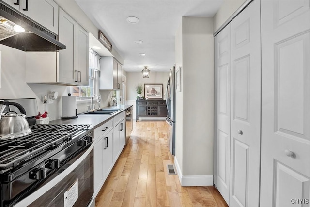 150 E Hawthorne Way, Sullivan, NY 13037 - kitchen featuring stainless steel appliances, under cabinet range hood, recessed lighting, light wood-style flooring, and light countertops