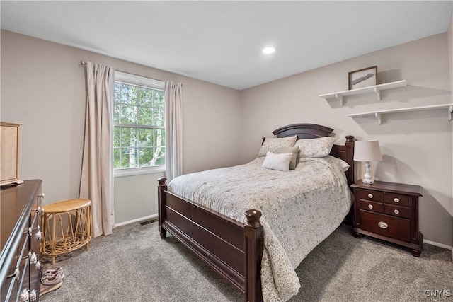 150 E Hawthorne Way, Sullivan, NY 13037 - bedroom with carpet floors