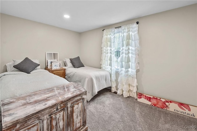 150 E Hawthorne Way, Sullivan, NY 13037 - carpeted bedroom featuring recessed lighting
