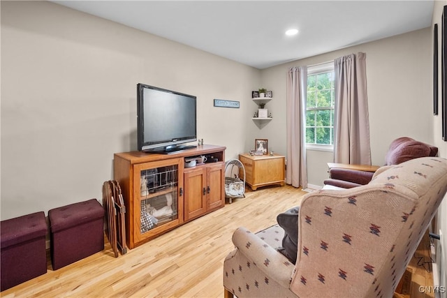 150 E Hawthorne Way, Sullivan, NY 13037 - living room with light wood-style flooring and recessed lighting