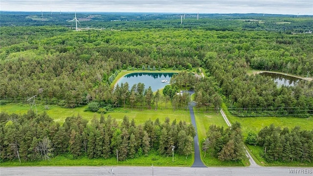 3319 Centerline Rd, Orangeville, NY 14167 - photo 45