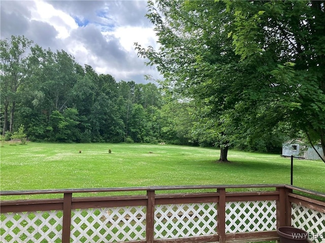 1300 Cain Rd, Porter, NY 14174 - view of green lawn
