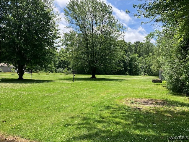 1300 Cain Rd, Porter, NY 14174 - view of grassy yard