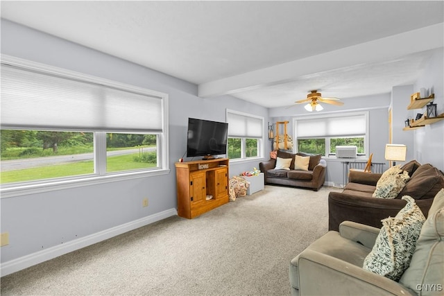 10327 Wolcott Hill Rd, Camden, NY 13316 - living area featuring carpet and ceiling fan