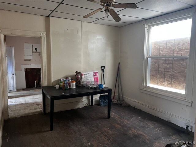 506 Glenwood Ave, Buffalo, NY 14208 - office featuring ceiling fan, wood-type flooring, and a paneled ceiling