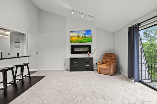 75B Foxberry Dr, Amherst, NY 14068 - living area with rail lighting, dark colored carpet, a glass covered fireplace, and high vaulted ceiling