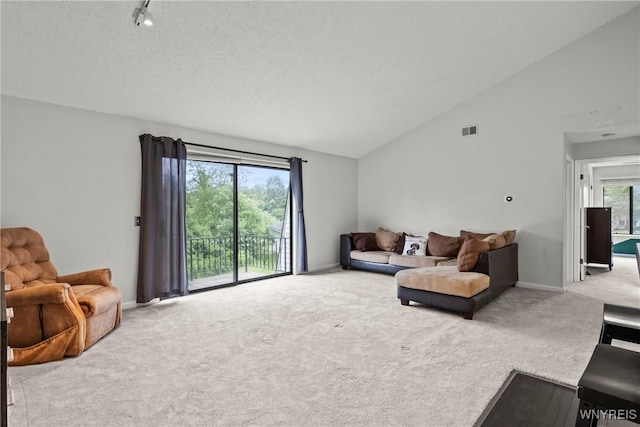 75B Foxberry Dr, Amherst, NY 14068 - living room with carpet and high vaulted ceiling