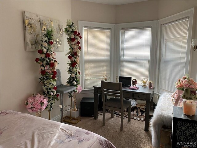 421 W Delavan Ave, Buffalo, NY 14213 - photo 27