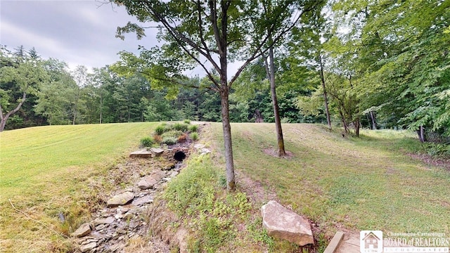 12483 Sawmill Run Rd, South Valley, NY 14738 - view of green lawn featuring a forest view
