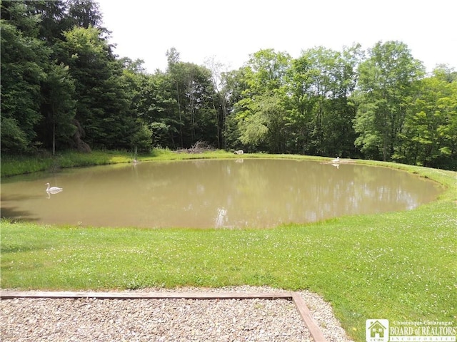 12483 Sawmill Run Rd, South Valley, NY 14738 - water view