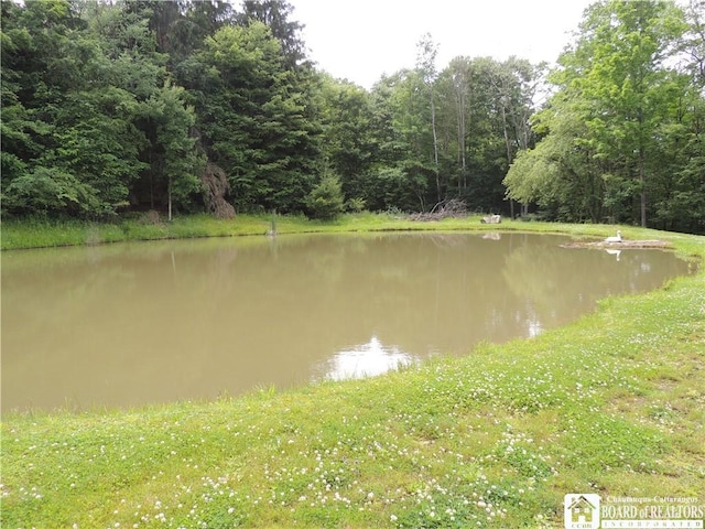 12483 Sawmill Run Rd, South Valley, NY 14738 - water view featuring a heavily wooded area