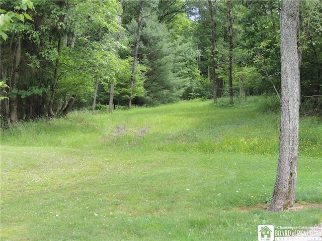 12483 Sawmill Run Rd, South Valley, NY 14738 - view of yard featuring a view of trees