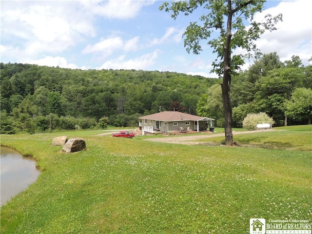 12483 Sawmill Run Rd, South Valley, NY 14738 - view of green lawn with a wooded view and dirt driveway
