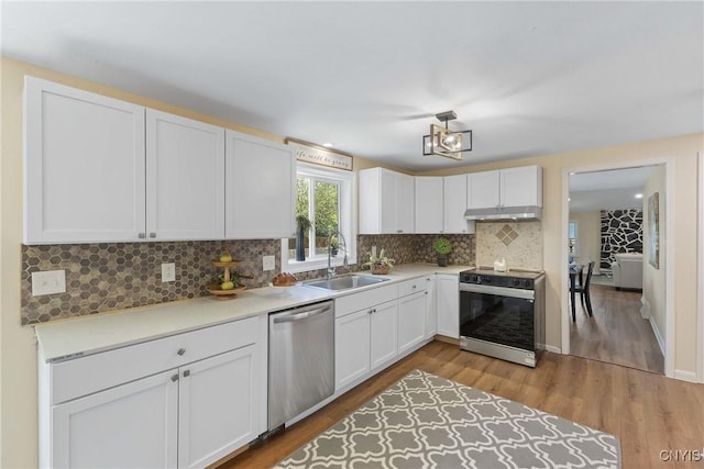 4302 Cinnamon Path, Clay, NY 13090 - kitchen featuring stainless steel appliances, under cabinet range hood, decorative backsplash, light wood finished floors, and light countertops
