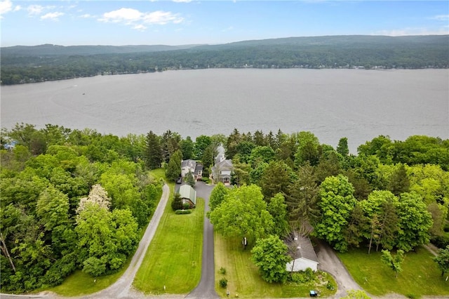 5107 County Road 36, Richmond, NY 14471 - drone / aerial view of a forest