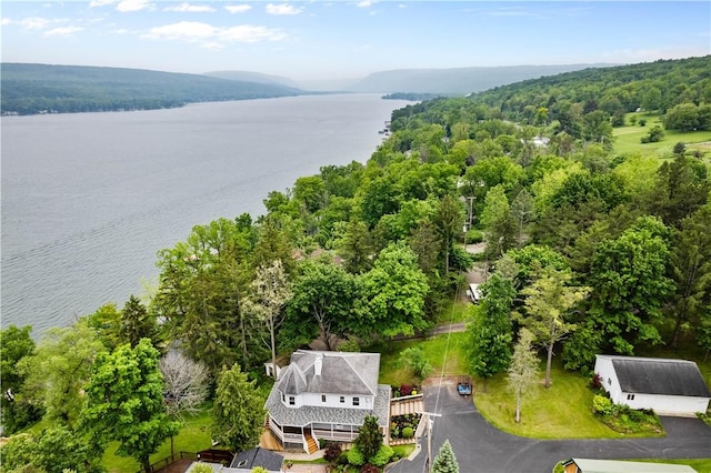 5107 County Road 36, Richmond, NY 14471 - view of subject property featuring a nearby body of water and a heavily wooded area