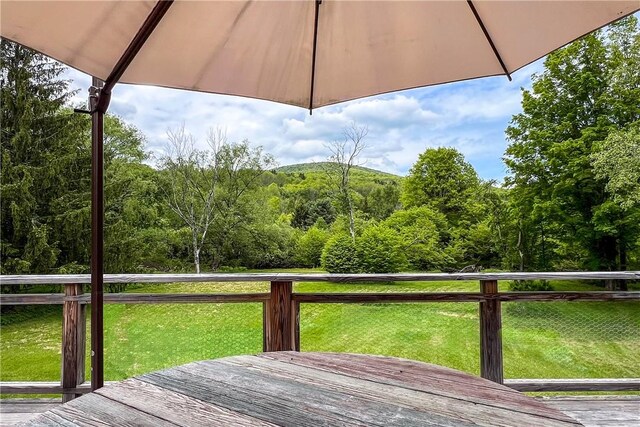 4923 County Highway 36, Roxbury, NY 12421 - photo 8
