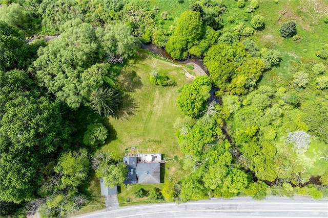 4923 County Highway 36, Roxbury, NY 12421 - photo 48