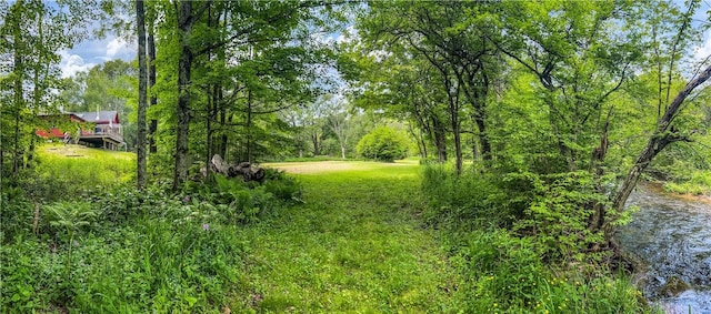 4923 County Highway 36, Roxbury, NY 12421 - photo 49