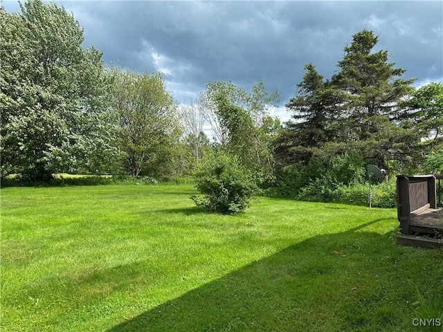8362 Price Rd, Floyd, NY 13354 - view of green lawn