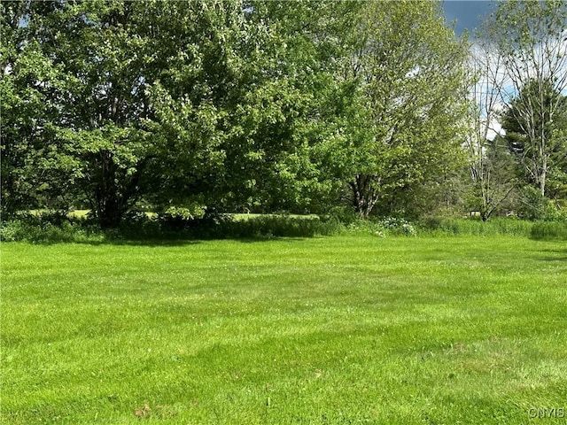 8362 Price Rd, Floyd, NY 13354 - view of yard