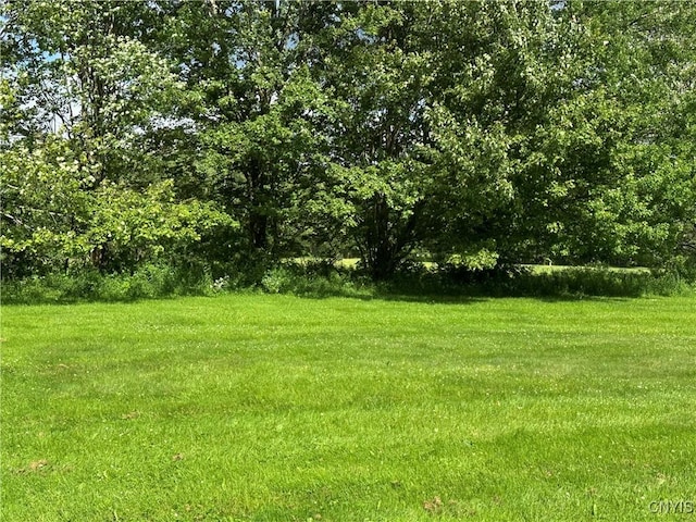 8362 Price Rd, Floyd, NY 13354 - view of green lawn