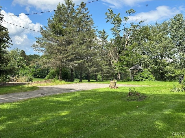 8362 Price Rd, Floyd, NY 13354 - view of grassy yard