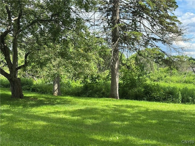8362 Price Rd, Floyd, NY 13354 - view of grassy yard