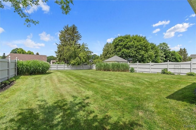 312 S Orchard Rd, Geddes, NY 13219 - view of fenced backyard