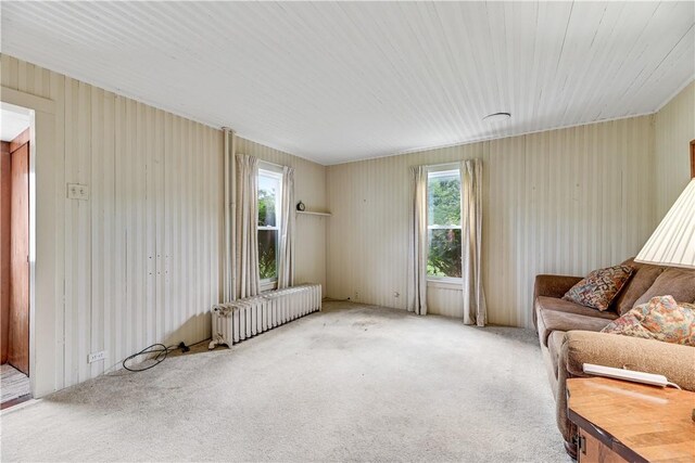2600 Brickyard Rd, Canandaigua Town, NY 14424 - photo 19