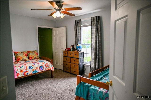 107 Naymik Dr, Sullivan, NY 13037 - bedroom with carpet flooring and ceiling fan