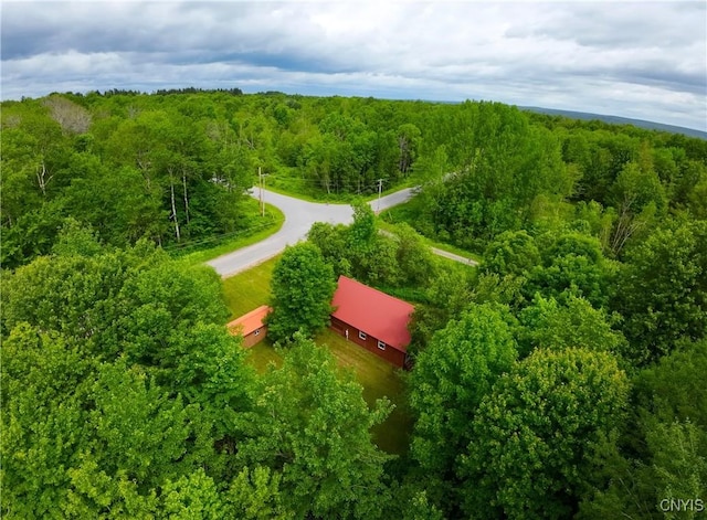 1286 Milk Rd, Osceola, NY 13316