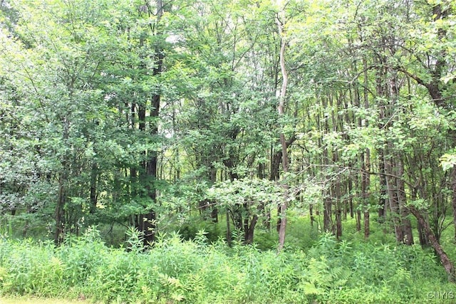 1286 Milk Rd, Osceola, NY 13316
