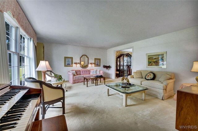 87 Old Spring Ln, Amherst, NY 14221 - view of carpeted living room