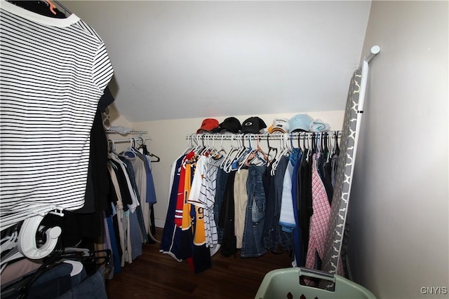 218 S Terry Rd, Geddes, NY 13219 - walk in closet featuring wood finished floors and vaulted ceiling