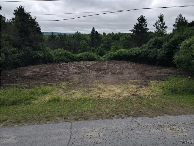 Woodside Dr, Watertown-Town, NY 13601 - photo 1